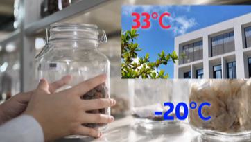 记者连线种子：未来，海南这里都是-20℃？